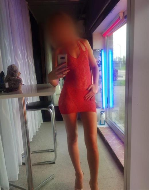 Haid, escort in Avondale - 9232